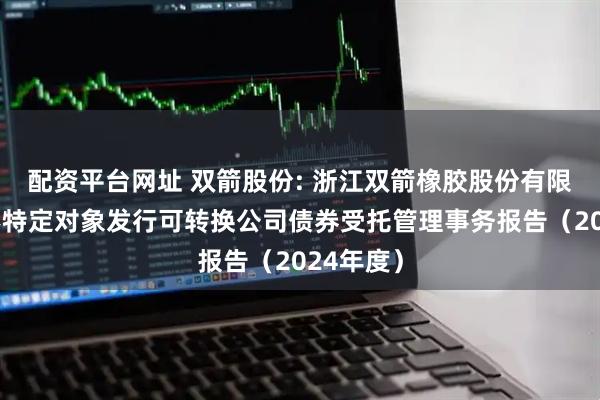 配资平台网址 双箭股份: 浙江双箭橡胶股份有限公司向不特定对象发行可转换公司债券受托管理事务报告(2024年度)