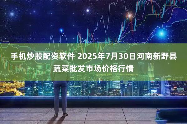 手机炒股配资软件 2025年7月30日河南新野县蔬菜批发市场价格行情