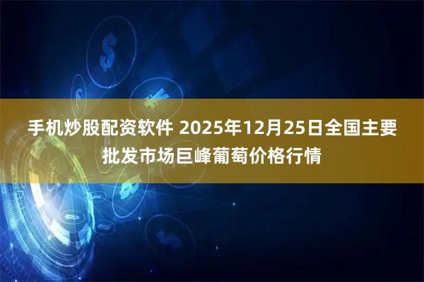 手机炒股配资软件 2025年12月25日全国主要批发市场巨峰葡萄价格行情